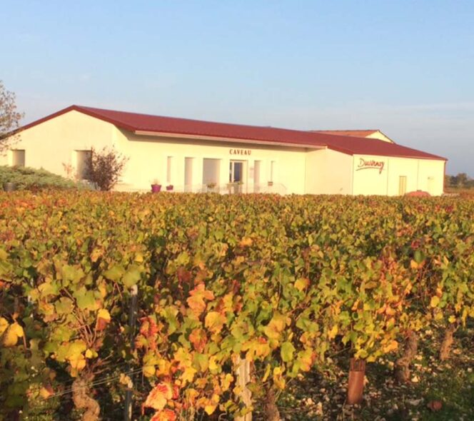 Domaine Duvernay en automne à Mercurey