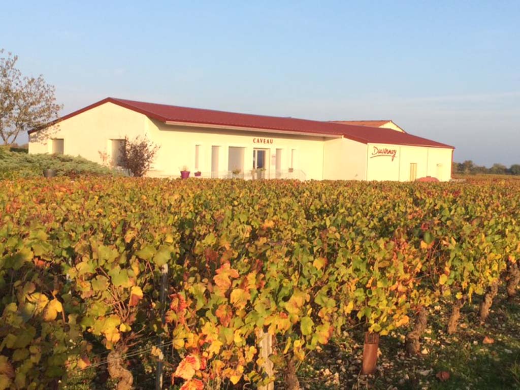 Domaine Duvernay en automne à Mercurey