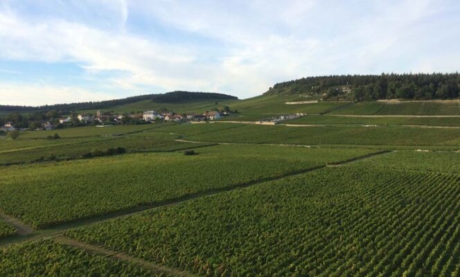 Vue d'ensemble de parcelles de vigne à Mercurey