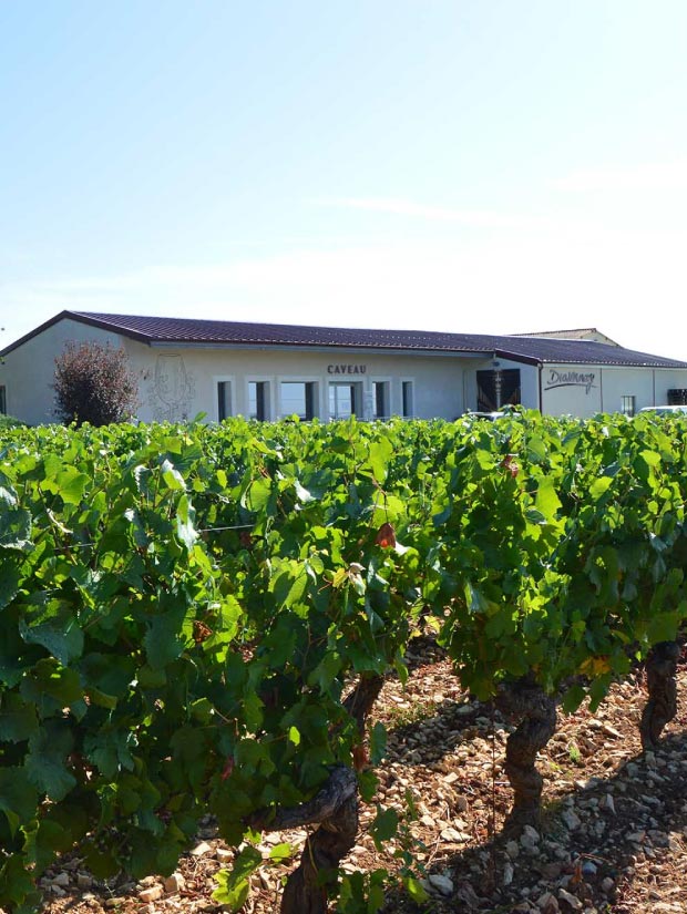 domaine familial en agriculture raisonnée