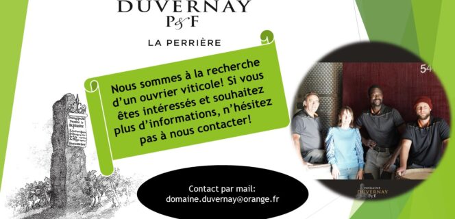 recrutement d'ouvriers viticoles au domaine Duvernay à Mercurey