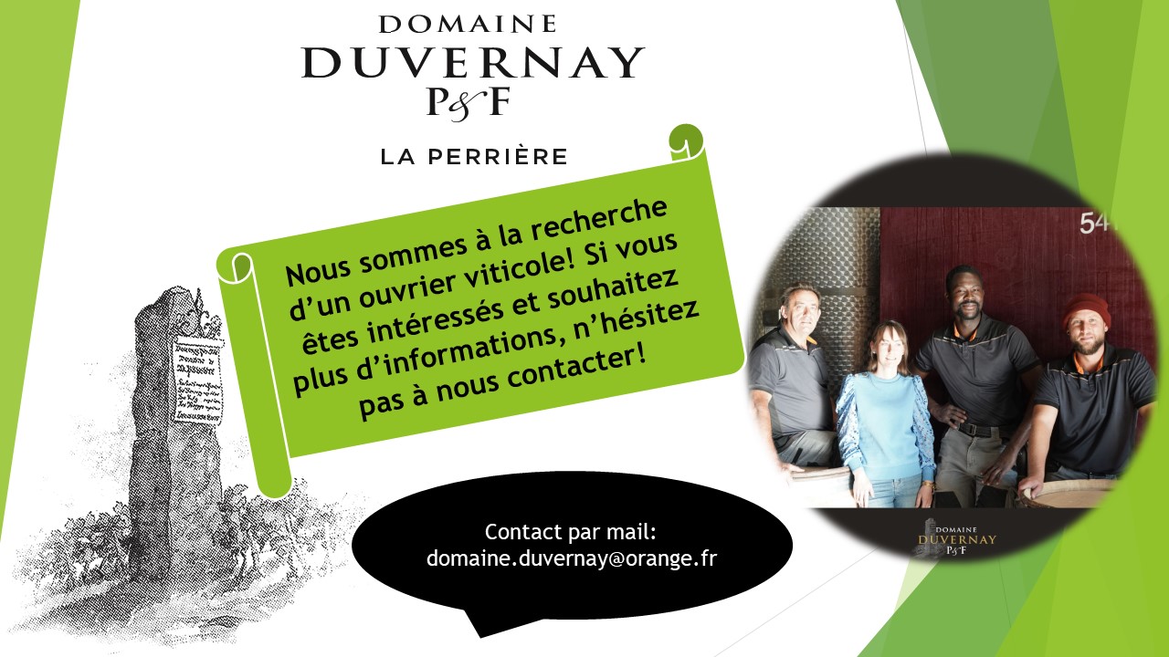 recrutement d'ouvriers viticoles au domaine Duvernay à Mercurey