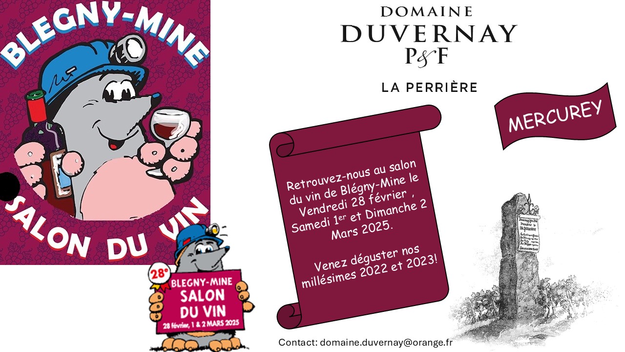 Salon du vin de Blégny Domaine Duvernay P et F à Mercurey