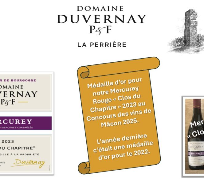 Médaille d'or au Concours des Vins de Mâcon 2025 pour le Mercurey Rouge "Clos du chapitre" 2023 du Domaine Duvernay P et F à Mercurey